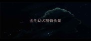 金毛幼犬精确食量