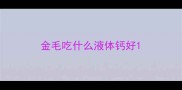 金毛吃什么液体钙好