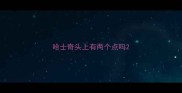 哈士奇头上有两个点吗