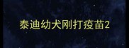 泰迪幼犬刚打疫苗