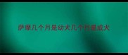 萨摩几个月是幼犬几个月是成犬