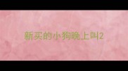 新买的小狗晚上叫