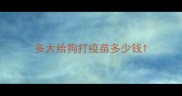多大给狗打疫苗多少钱