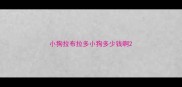 小狗拉布拉多小狗多少钱啊