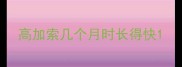 高加索几个月时长得快