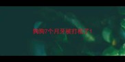 狗狗7个月牙被打松了