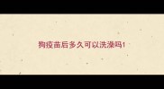 狗疫苗后多久可以洗澡吗