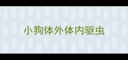 小狗体外体内驱虫