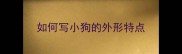 如何写小狗的外形特点