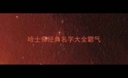 哈士奇经典名字大全霸气