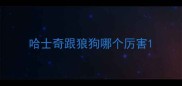 哈士奇跟狼狗哪个厉害