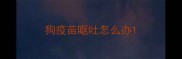 狗疫苗呕吐怎么办