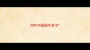 如何知道猫咪爱你