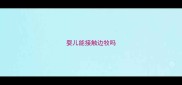 婴儿能接触边牧吗