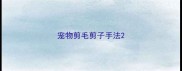 宠物剪毛剪子手法