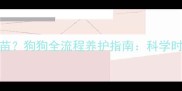 驱虫后多久打疫苗狗狗全流程养护指南科学时间差与注意事项