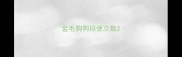 金毛狗狗排便次数