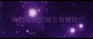 狗打疫苗的地方有硬结