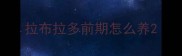 拉布拉多前期怎么养