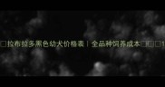 拉布拉多黑色幼犬价格表全品种饲养成本