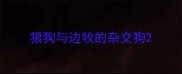 狼狗与边牧的杂交狗