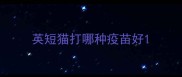 英短猫打哪种疫苗好
