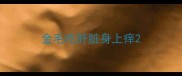 金毛吃肝脏身上痒