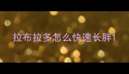 拉布拉多怎么快速长胖