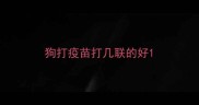 狗打疫苗打几联的好