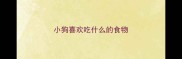 小狗喜欢吃什么的食物