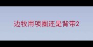 边牧用项圈还是背带