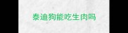 泰迪狗能吃生肉吗
