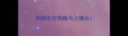 狗狗吃完狗粮马上喝水
