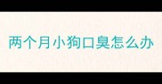 两个月小狗口臭怎么办