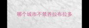 哪个城市不禁养拉布拉多