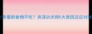哈士奇看到食物不吃资深训犬师5大原因及应对妙招