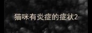 猫咪有炎症的症状