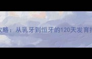 泰迪幼犬换牙全攻略从乳牙到恒牙的120天发育指南附护理要点