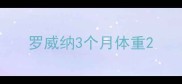 罗威纳3个月体重
