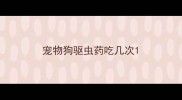 宠物狗驱虫药吃几次