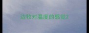 边牧对温度的感觉