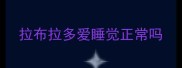拉布拉多爱睡觉正常吗