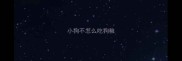 小狗不怎么吃狗粮