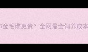 拉布拉多VS金毛谁更贵全网最全饲养成本对比攻略