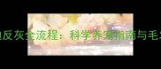 深灰色泰迪反灰全流程科学养宠指南与毛发护理秘籍