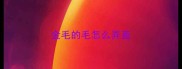 金毛的毛怎么弄直