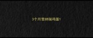 3个月雪纳瑞鸡蛋