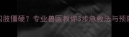 泰迪犬惊吓过度导致四肢僵硬专业兽医教你3步急救法与预防措施附真实案例