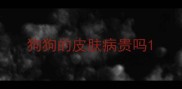 狗狗的皮肤病贵吗