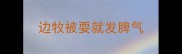 边牧被耍就发脾气